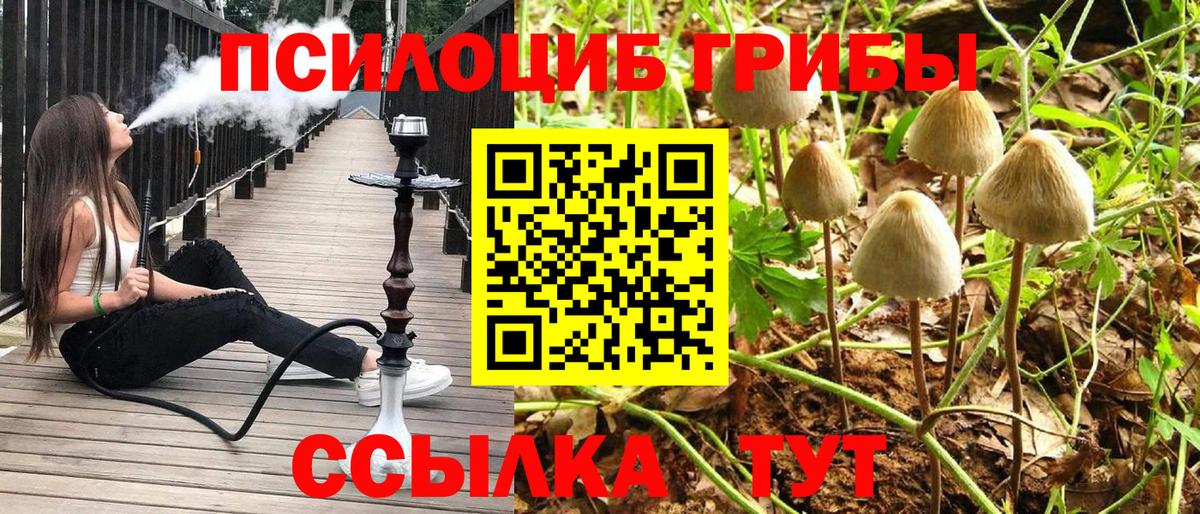 Псков  дарнет шоп  Псилоцибиновые грибы мухоморы  Вход с VPN  Галлюциногенные грибы Cubensis 