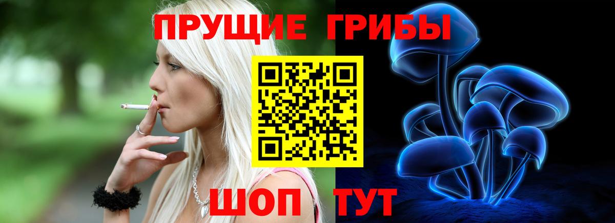 Галлюциногенные грибы GOLDEN TEACHER Псков