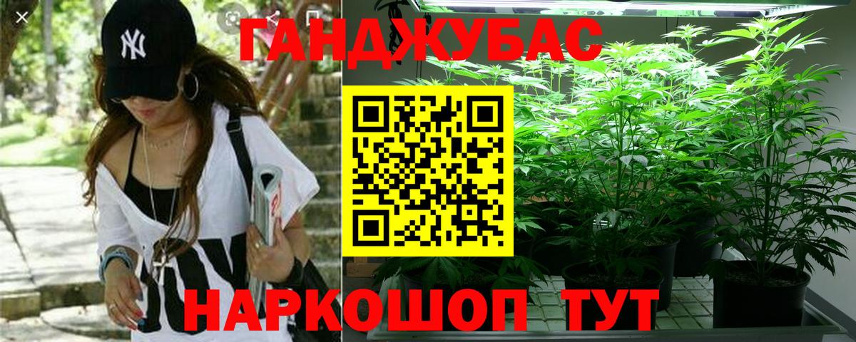 Каннабис MAZAR Псков